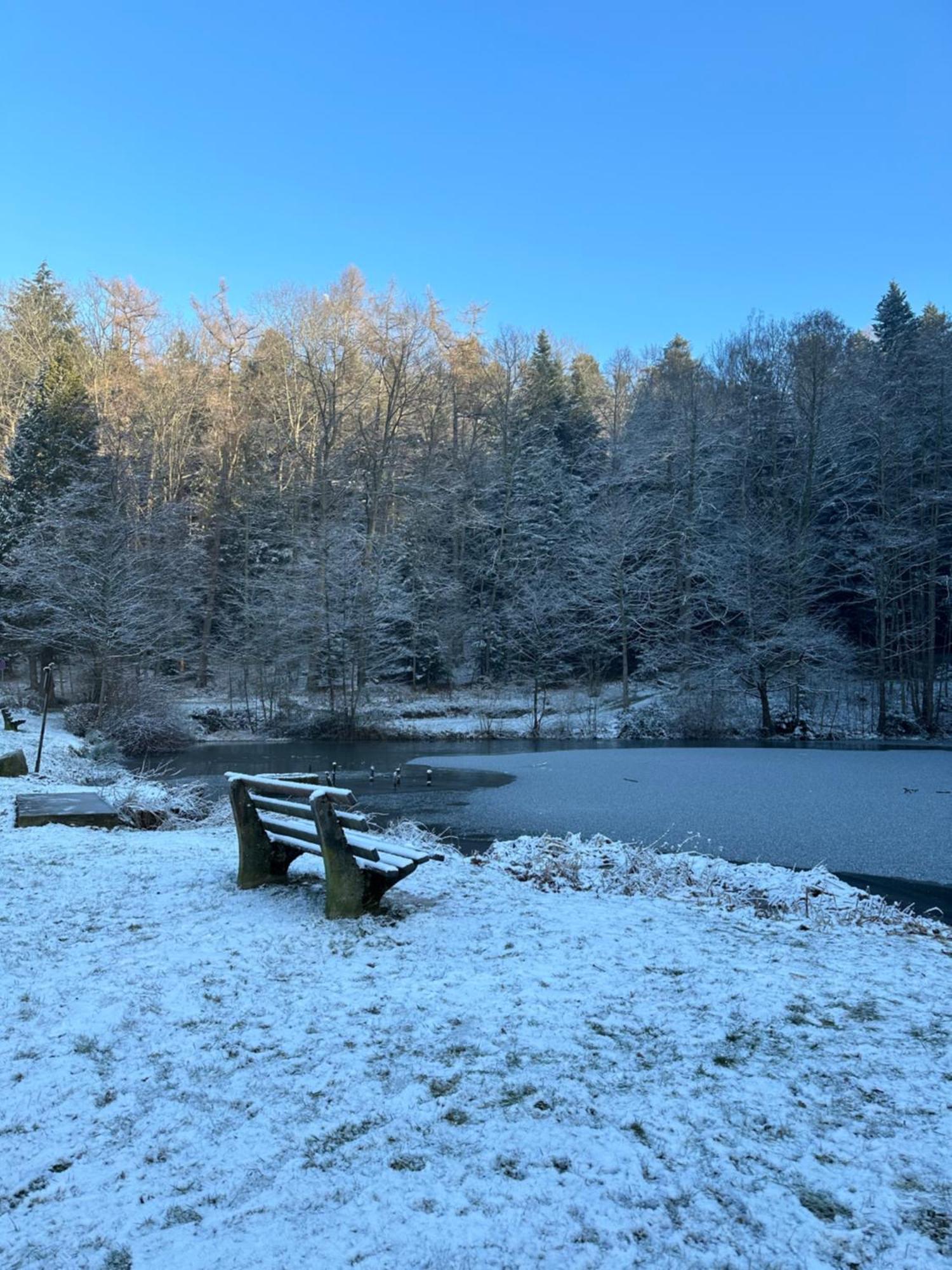 Fewo “Ruhige Momente” In Waldkirch Eksteriør billede